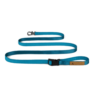 Easy Leash (Blue-One Size)