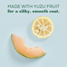 Load image into Gallery viewer, Essentials Yuzu Fruit &amp; Melon Shampoo for Dog Puppy Cat 16oz
