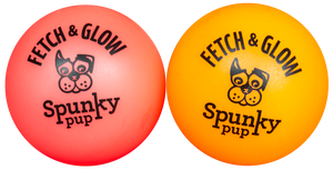 Fetch & Glow Ball Small 2 Pack
