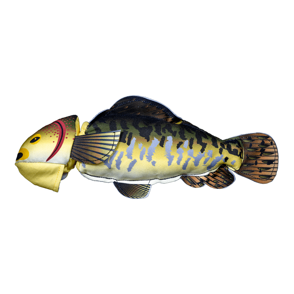 Fly & Fetch Fish – WAGSUP