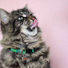 Load image into Gallery viewer, Frida Catlo Artist Cat Collar
