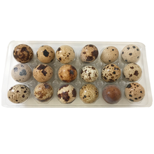 Load image into Gallery viewer, Frozen Quail Eggs 18pk
