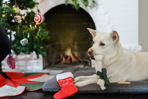 Merry WoofMas Good Dog Stocking