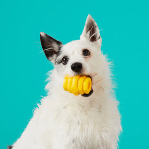 Hive Chew Toy for Small Dogs