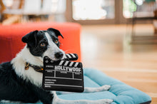 Load image into Gallery viewer, Hollywoof Cinema Doggy Director Board
