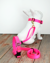 Load image into Gallery viewer, Neon Pink Leash Adjustable 4ft-7ft
