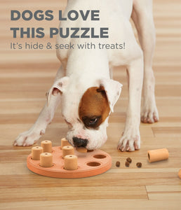 Nina Ottosson Smart Composite Dog Puzzle