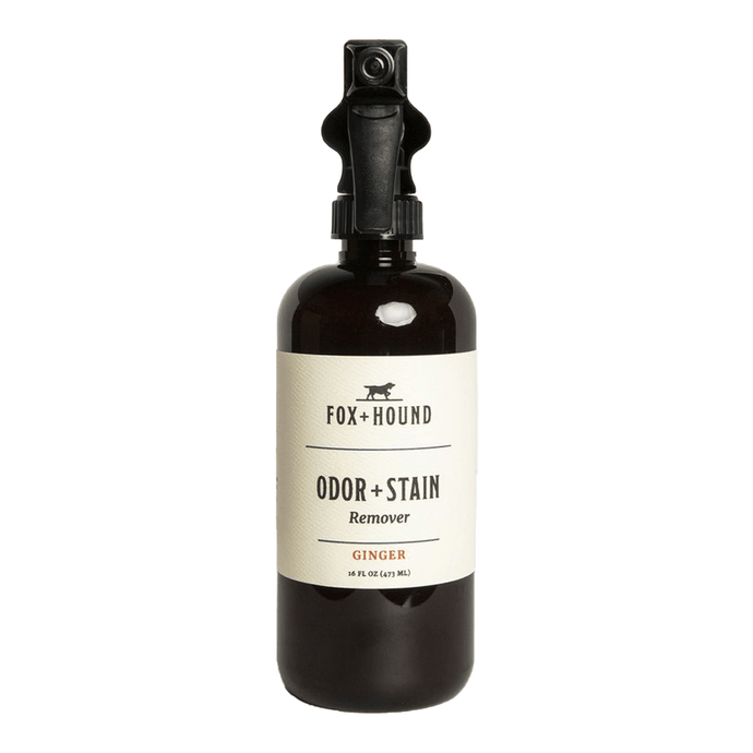 Odor with Stain Remover (Ginger)