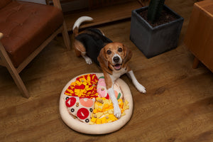 Pizza Snuffle Toy