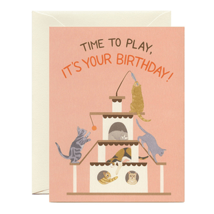 Playful Cats Birthday Card