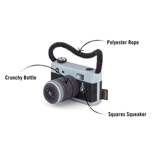 Globetrotter Suitcase Camera