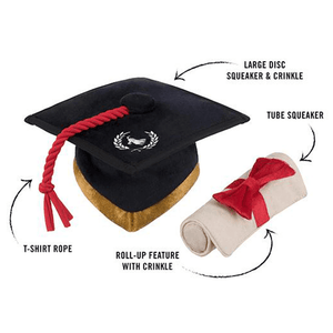 Back to School Graduation Hat & Scroll - WAGSUP