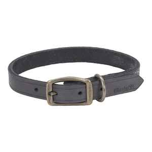 Rustic Leather Town Collar