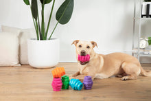 Load image into Gallery viewer, Scented Berry Hive Chew for Large Dogs
