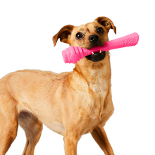 Load image into Gallery viewer, Scented Berry Hive Fetch Stick Dog Toy
