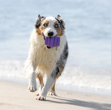 Load image into Gallery viewer, Scented Lavender Hive Chew for Large Dogs

