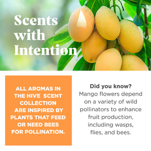 Scented Mango Hive Chew for Large Dogs