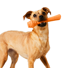 Load image into Gallery viewer, Scented Mango Hive Fetch Stick Dog Toy
