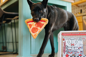 Snack Attack Puppy-roni Pizza