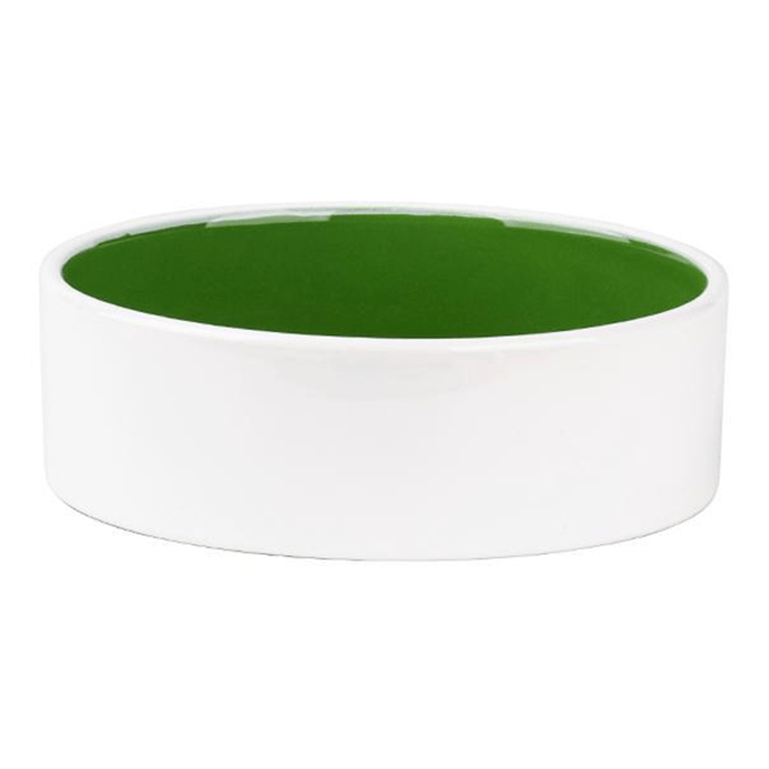 Splash Green Pet Bowl