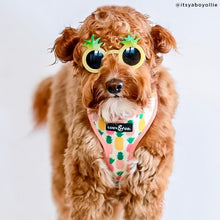 Load image into Gallery viewer, The Poolside Chillin Reversible Harness
