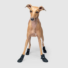 Load image into Gallery viewer, Unlined Wellies Dog Boots (Black)
