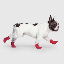 Load image into Gallery viewer, Unlined Wellies Dog Boots (Red)
