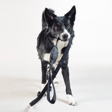 Load image into Gallery viewer, Visibility Leash (Black)
