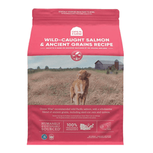 Load image into Gallery viewer, Wild Salmon Ancient Grains Dog Food
