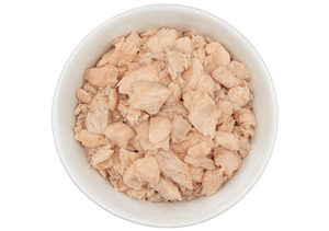 Wild Salmon Recipe in Salmon Consomme Wet Cat Food 2.8oz