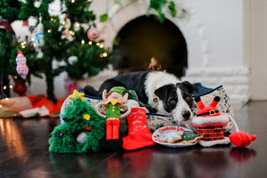 Merry WoofMas Good Dog Stocking