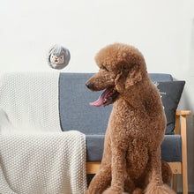 Load image into Gallery viewer, Zoo Ball 2-in-1 Sheep 4&quot;
