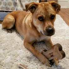 Load image into Gallery viewer, Natural Leather &amp; Wool Bone Toy - WAGSUP

